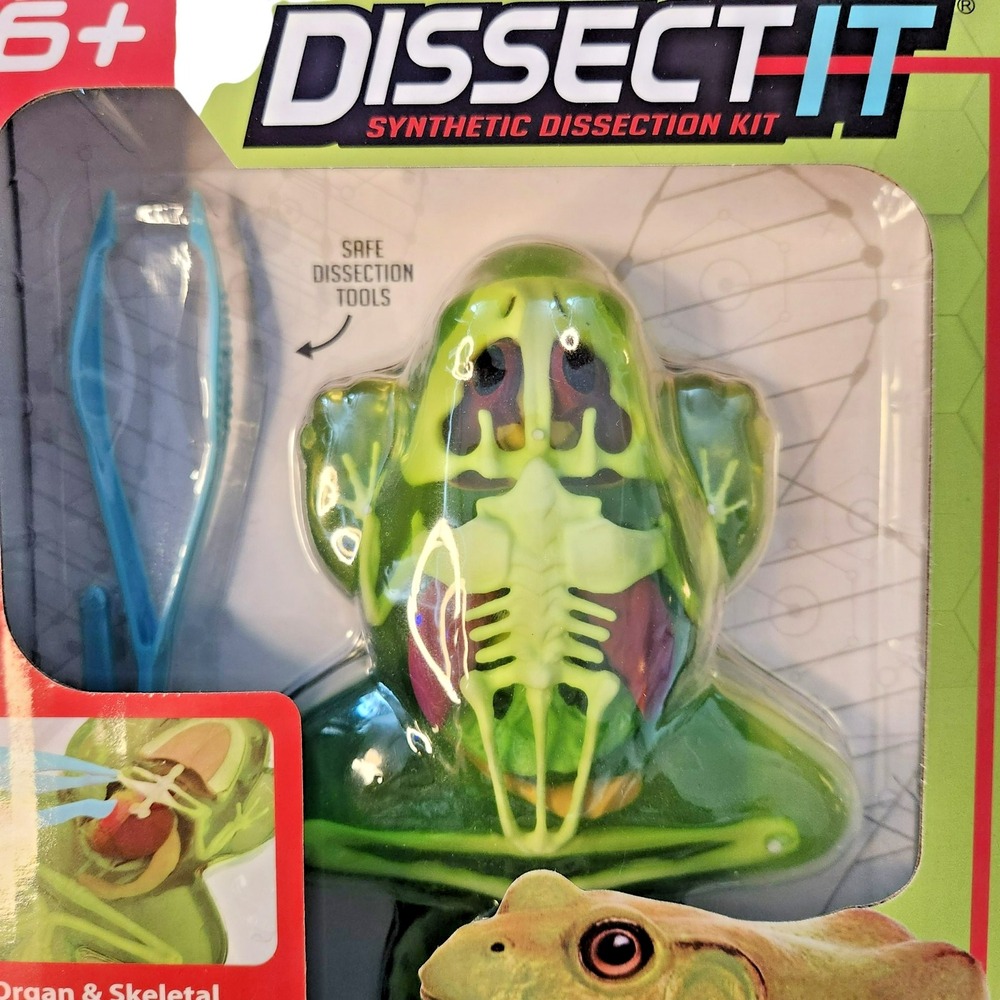 Dissect It‎ Synthetic Dissection Kit - Frog Lab - Picture 2 of 3